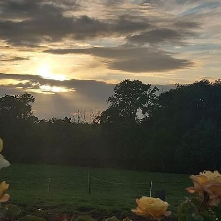 Modern Countryside Apartment Killmallock Lodge Enniscorthy Exteriör bild