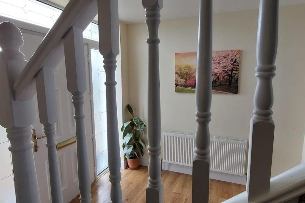 Modern Countryside Apartment Killmallock Lodge Enniscorthy Exteriör bild